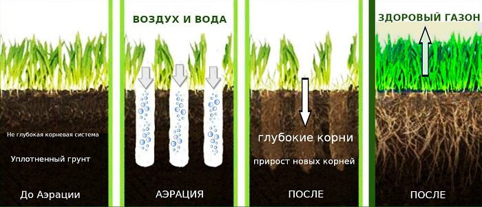 Уход за газоном
